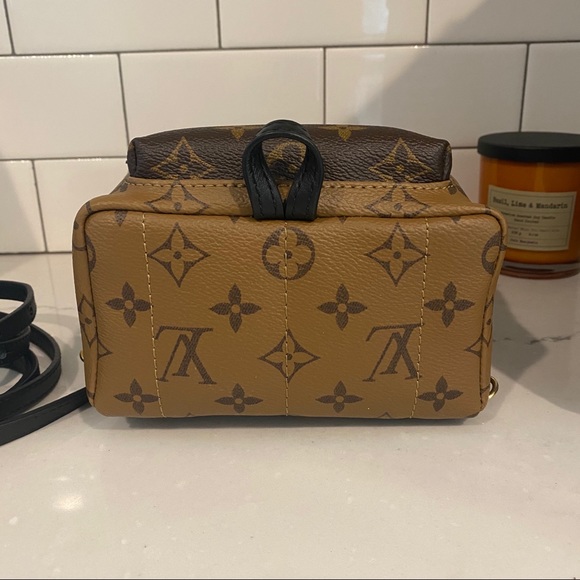 Louis Vuitton Palm Springs bag - Picture 5 of 6